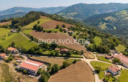 Orendain, Basque Country 20269