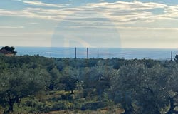 Camarles, Catalonia 43894