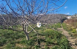 Almayate, Malaga