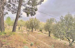 Portimão, Valencian Community 03801