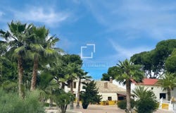 Petrer, Valencia 03610