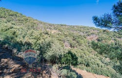 Jubrique, Andalusia 29492