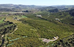 Casares, Andalusia 29690