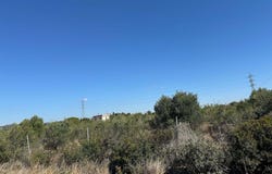 Vendrell (El), Catalonia