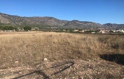 Salinas, Valencia 03130