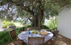 Gaucín, Andalusia 29480