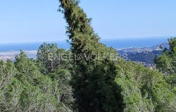 Corbera de Llobregat, Catalonia 08757