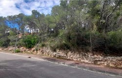 Sant Pere de Ribes, Catalonia 08810
