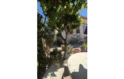 Castalla, Valencia 03420