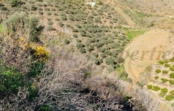 Torrox, Andalusia 29770