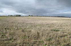 Villamiel De Toledo, Castile-La Mancha 45594