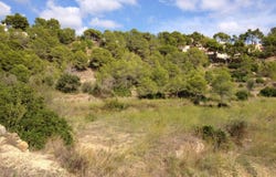 Altea la Vella, Valencian Community 03599