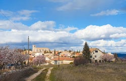 El Olivar, Castile-La Mancha 19133