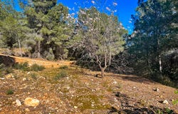 Pd Campulles, Polop, Valencian Community 03520