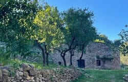 Cabanes, Valencia 12180
