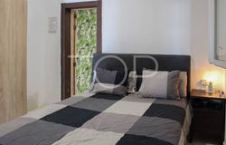 San Miguel, Canary Islands 38620