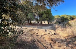 Barcelona, Catalonia 08350