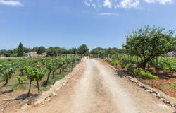 Sant Lluís, The Balearic Islands 07710