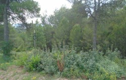 Rellinars, Catalonia