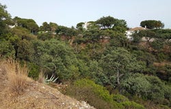 Elviria, Andalusia 29604