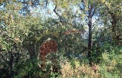 Calonge, Girona