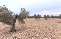 Yecla, Murcia 30510
