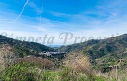 Sayalonga, Andalusia 29752