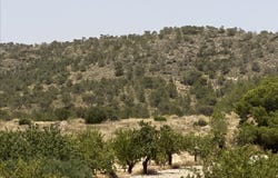 Abanilla, Region of Murcia