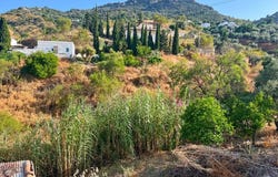 Comares, Andalusia 29195