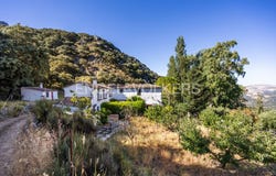 Grazalema, Andalusia 11610