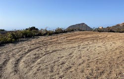 Vilaflor, The Canary Islands 38613