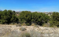 Alicante/Alacant, Valencian Community