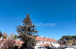 La Moraleja, Community of Madrid 28109