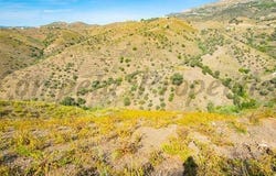 Sedella, Málaga
