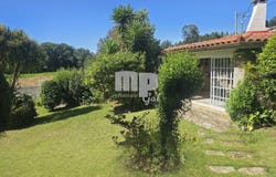 Vigo, Galicia 36339