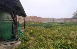 Nambroca, Castile-La Mancha 45190