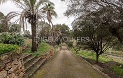 Alzira, Valencian Community 46600