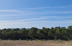 Raspay, Alicante 03657