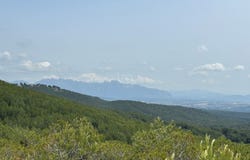 Barcelona, Catalonia 08773