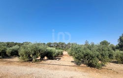 Tarragona, Catalonia 43513