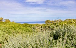 Colonia de San Pedro, Illes Balears