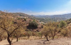 Guaro, Andalusia 29108