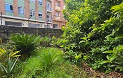 Piles, Valencian Community