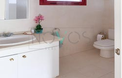 Arona, Canary Islands 38632
