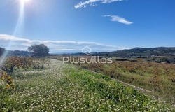 Teulada, Alicante/alacant 03725