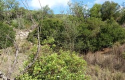Benigánim, Valencian Community