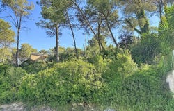 Olivella, Catalonia 08818