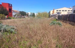 Sollana, Valencian Community