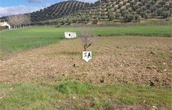 Campotejar, Granada