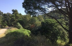 Palamós, Girona